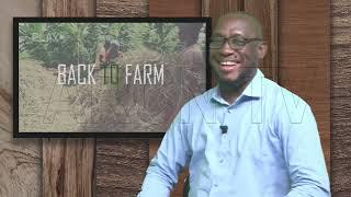 BACK TO FARM: MAKING MONEY IN RABBIT REARING