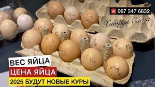 КАЛЬКУЛЯЦИЯ ЯЙЦАИНКУБАЦИОННОЕ ЯЙЦОкур Мини Мясные, Бресс Гальцы племенное хозяйство Хитрук Елена