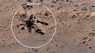 Mars Perseverance Rover Reveals New 4k Video Footage of Mars Sol 1176 | Mars 4k Video | Mars In 4k