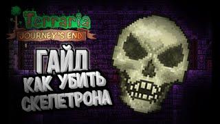 КАК УБИТЬ СКЕЛЕТРОНА В ТЕРАРРИИ ЭКСПЕРТ/МАСТЕР МОД