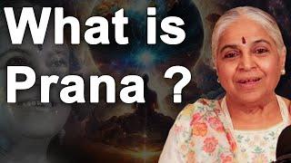 What is Prana ? | Guru SakalaMaa