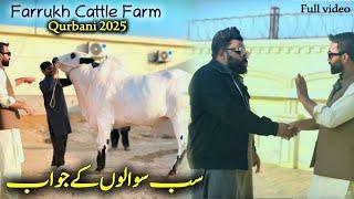 Qurbani 2025 Updates Farrukh Cattle Farm - Fatehjangi Bail 2025 - T4 Tamasha update