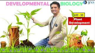 CSIR NET JUNE 2025 I Developmental Biology I Lecture 33  Plant development ABCDE Flower model I IFAS