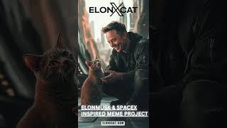 From Space to Memes Discover the World of ElonXCat