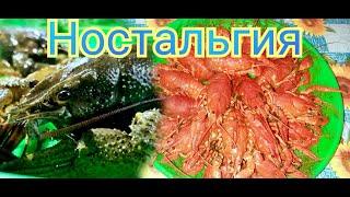 Ужин семьи на 10 человек / Пришла зарплата с Ютуба / Любимый Василек / Влог