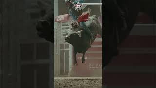 6G style #shortsfeed#rodeo#ranch#cowboy#reel#creator#youtube#follow#foryou#shorts#feedshorts