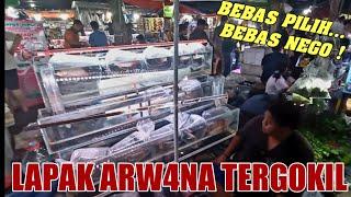  LAPAK ARW4NA TERLENGKAP‼️ UPDATE HARGA TERBARU 4NAKAN ARW4NA TERMURAH HENDRA PASAR IKAN JATINEGARA