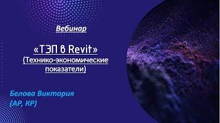 ТЭП в Revit