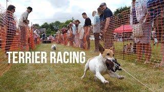 Terrier Racing -  Sussex