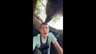 Man has terrifying close encounter with bear after climbing into its den