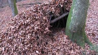 Building A Survival Shelter With Natural Materials