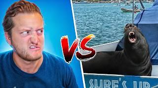 I am under attack | Man vs Sea Lion