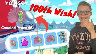 Making 100 Wishes In Overlook Bay To Get The CANDIED PEACOCK! Roblox Overlook Bay