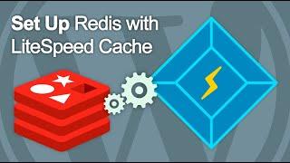 How to set up Redis with LiteSpeed Cache