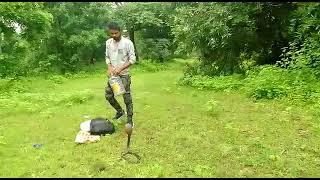 venomous spectacle Cobra release in dumna jungle jabalpur madhya Pradesh