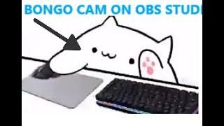 How To Use Bongo Cat Cam In OBS