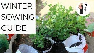 Winter Sowing Guide for Beginners - EASY SEED STARTING for the Garden