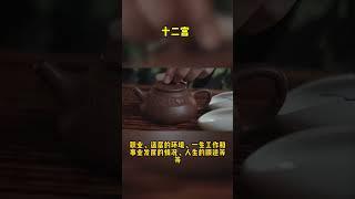 紫微斗数命盘——十二宫详解