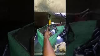 Working of Nozzle in diesel engine