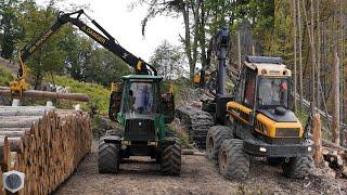  Steep Slope Logging with PONSSE Ergo, TIMBERJACK 1110C and VALTRA Forestry Tractor [4K]