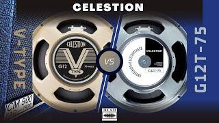 CELESTION G12T-75 VS CELESTION V-TYPE ( Speaker Comparison / Mix ) Marshall 1936 CAB