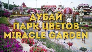 VLOG:Дубай, ОАЭ/ Парк цветов Miracle Garden. Часть 2/ Куда сходить, что посмотреть в Эмиратах