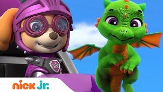 PAW Patrol Rescue Knights Get Help From Baby Dragons!  | Nick Jr.