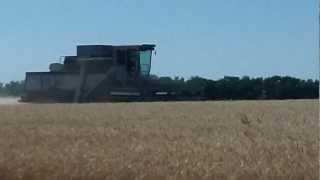 Wheat harvest at Stroda Farms in Kansas