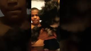 he did his dog dance on tick-top and viral with it