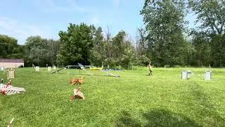 Rush RDW sequences part 2