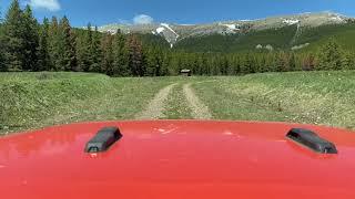 Cardinal Divide, Cadamin Alberta Canada