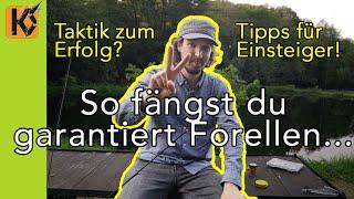 Der erfolgreiche Einstieg am Forellensee - So fängst du garantiert Forellen! Spoon- und Grundangeln