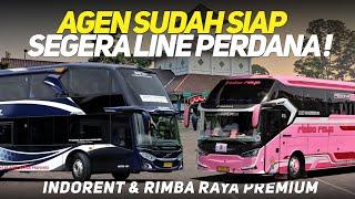 AGEN SUDAH SIAP INDORENT & RIMBA RAYA SEGERA HADIR DI PORIS‼️RAME PENDATANG BARU DI AKHIR TAHUN 2024