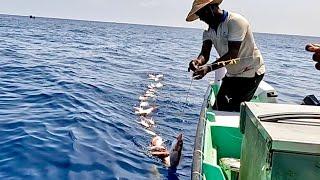 Deep Sea Fishing for Rosy Snapper