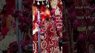 Momino Haider E Karrar | Nadeem Sarwar #nadeemsarwar #azadarikotqasim #shorts #shortsfeed #karbala