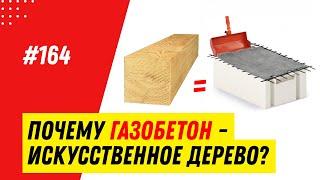 Газобетон vs. дерево: теплоэффективность, паропроницаемость, экологичность