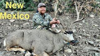 New Mexico Mule Deer Hunt - DIY Backpack Hunt