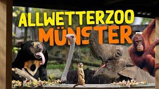 Allwetterzoo Münster | Zoo-Eindruck