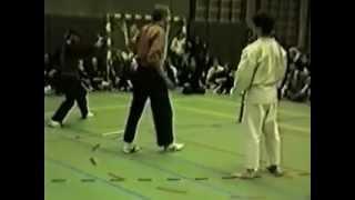 Pencak Silat VS Karate