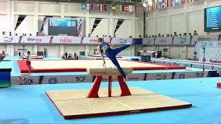 TUKIAINEN Alex (FIN) - 2023 Artistic Junior Worlds - Qualifications Pommel Horse