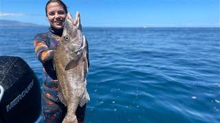 Wettie TV | SPEARFISHING Great Barrier ISLAND | SHARKS, Snapper and Boarfish