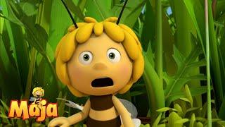 The honey treasure! - Maya the Bee - FULL COMPILATION,
