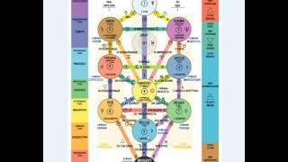 Кратко о древе жизни Сефирот Лекция 1