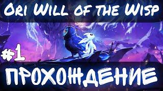 Ori and the Will of the Wisps  ПРОХОЖДЕНИЕ  Часть #1