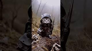 Medieval Cat Fantasy! #cat #猫 #fantasy #catshorts #animals #animal #elgato #foryou #catsofyoutube