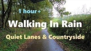 Walking In Rain For An Hour - Quiet Lanes & Countryside | Treadmill Walk