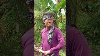 Natalong KAPITAN, namundok /Panoorin niyo sobrang nakakatawa / Wagat Tv funny videos @WagatTv