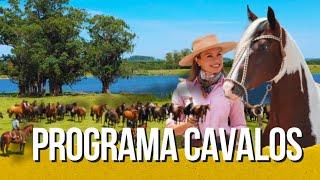 Carnival among horses! Field Day at Cabanha Rigorosa and more stories from Santa Edwiges