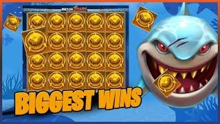 Top 10 Slot Wins on Razor Shark