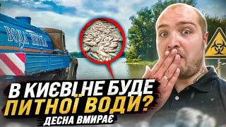 Екологічна катастрофа на Десні. Чи є загроза для Києва? Що буде з Дніпром?